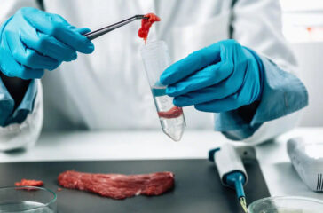 Bagaimana Alat Lab Membantu Produsen Memenuhi Standar Regulasi Pangan