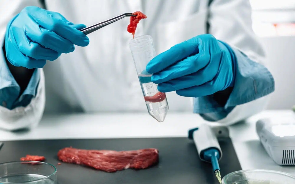 Bagaimana Alat Lab Membantu Produsen Memenuhi Standar Regulasi Pangan