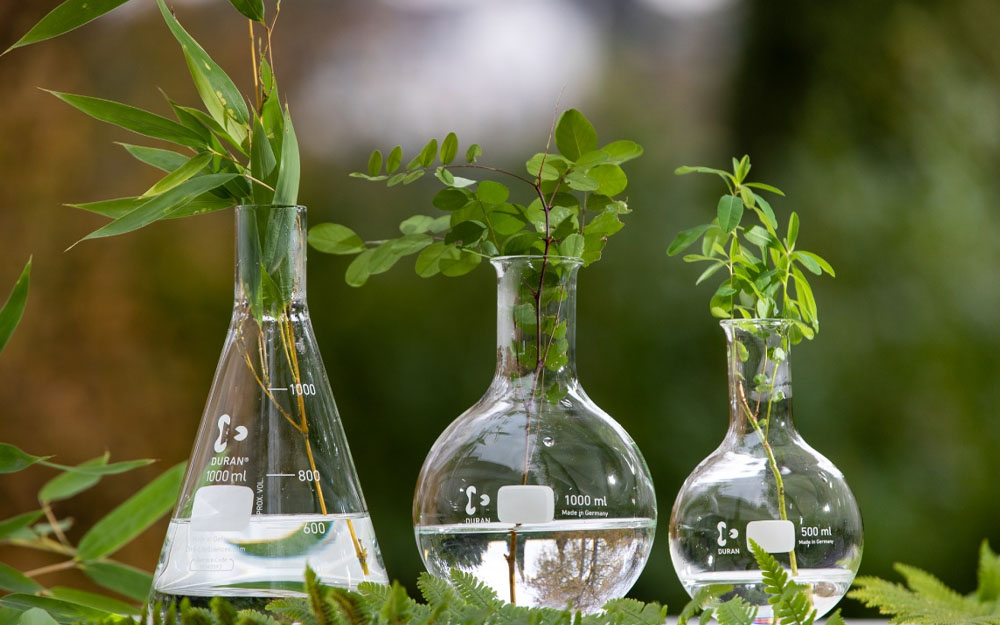 DWK Life Sciences Raih Penghargaan Perunggu EcoVadis atas Upaya Keberlanjutan