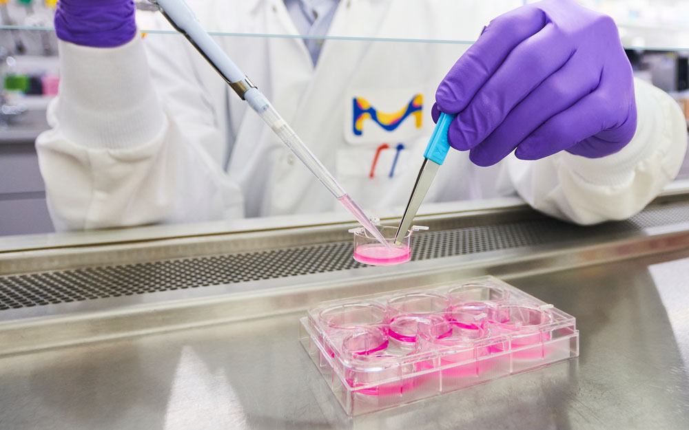 Merck dengan Promega Kembangkan Teknologi Drug Discovery Berbasis Sel 3D