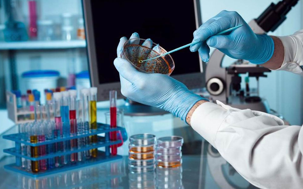 Peran Peralatan Laboratorium dalam Mendorong Riset Inovatif di Kampus